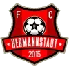 AFC Hermannstadt Football Team Results