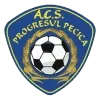 ACS Progresul Pecica Football Team Results