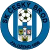 Cesky Brod Football Team Results