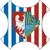 Wisla Sandomierz Football Team Results