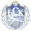 BSK Borca Football Team Results