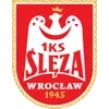 Sleza Wroclaw Football Team Results