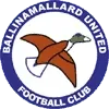 Ballinamallard Utd Football Team Results