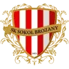 SK Sokol Brozany Football Team Results