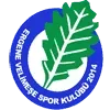 Ergene Velimese Spor Football Team Results