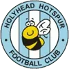 Holyhead Hotspur Football Team Results