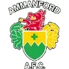 Ammanford AFC Football Team Results