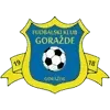 FK Gorazde Football Team Results