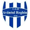 Avantul Reghin Football Team Results