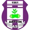 Artvin Hopaspor Football Team Results