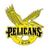 Pelicans SC Football Team Results