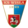 Wisla Pulawy Football Team Results