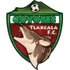 Tlaxcala FC Football Team Results