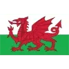 Wales Football Team Results