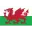 Wales Football Team Results