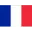 France Football Team Results