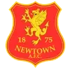 Newtown Football Team Results