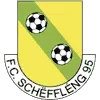 FC Schifflange 95 Football Team Results