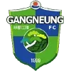 Gangneung City Football Team Results