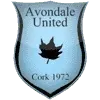 Avondale United Football Team Results