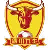 Sichuan Jiuniu Football Team Results