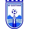 FK Gostivar Football Team Results