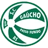 Sport Clube Gaucho Football Team Results