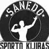 FK Saned Football Team Results