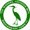 Biggleswade Town Football Team Results