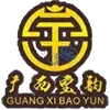 Guangxi Pingguo Haliao Football Team Results