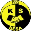 Besa Kavaje Football Team Results