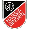 Hassia Bingen Football Team Results