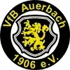 VfB Auerbach Football Team Results