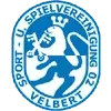 SSVg Velbert Football Team Results