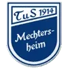 TuS Mechtersheim Football Team Results