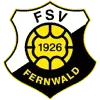 FSV Fernwald Football Team Results