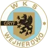 Gryf Wejherowo Football Team Results