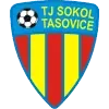 Sokol Tasovice Football Team Results