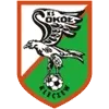 Sokol Kleczew Football Team Results