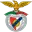 Benfica e Castelo Branco Football Team Results