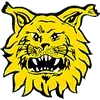 Tampereen Ilves 2 Football Team Results