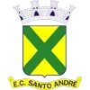 Santo Andre SP Football Team Results