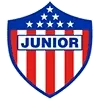 Junior Football Team Results