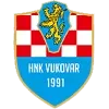 Vukovar 91 Football Team Results