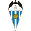 Alcoyano Football Team Results