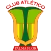 Atletico Palmaflor Vinto Football Team Results