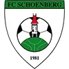 FC Schoenberg Football Team Results