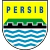 Persib Bandung Football Team Results