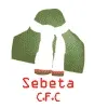 Sebeta City Football Team Results