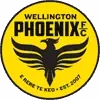 Wellington Phoenix Football Team Results